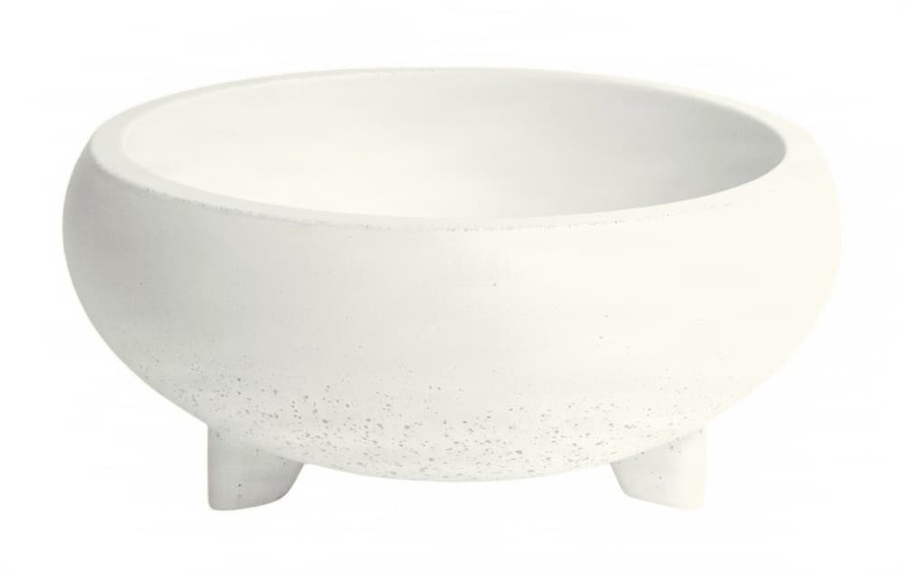 Urbi Et Orbi Bulbo Ivory