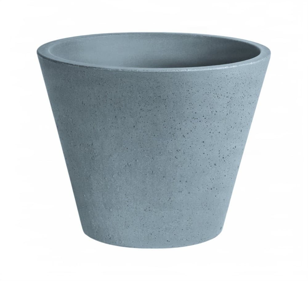 Urbi Et Orbi Circum 3831 Raf