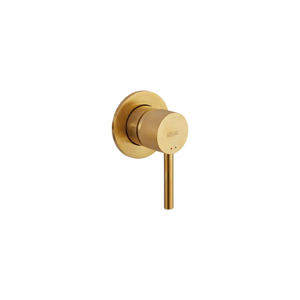 Μίκτης Εντοιχισμού 1 εξόδου Armando Vicario Industrial 512050-201 Gold Brushed