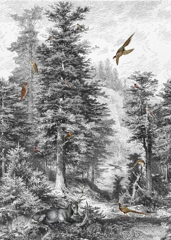 Ταπετσαρία Τοίχου Mural Panels Behang Expresse Light & Dark INK 7321 2,00x2,80