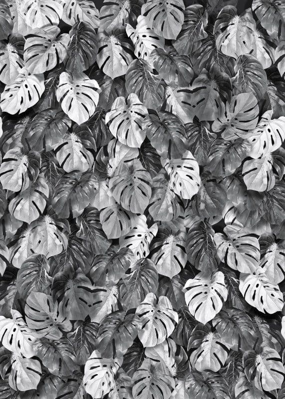 Ταπετσαρία Τοίχου Mural Panels Behang Expresse Light & Dark INK 7359 2,00x2,80