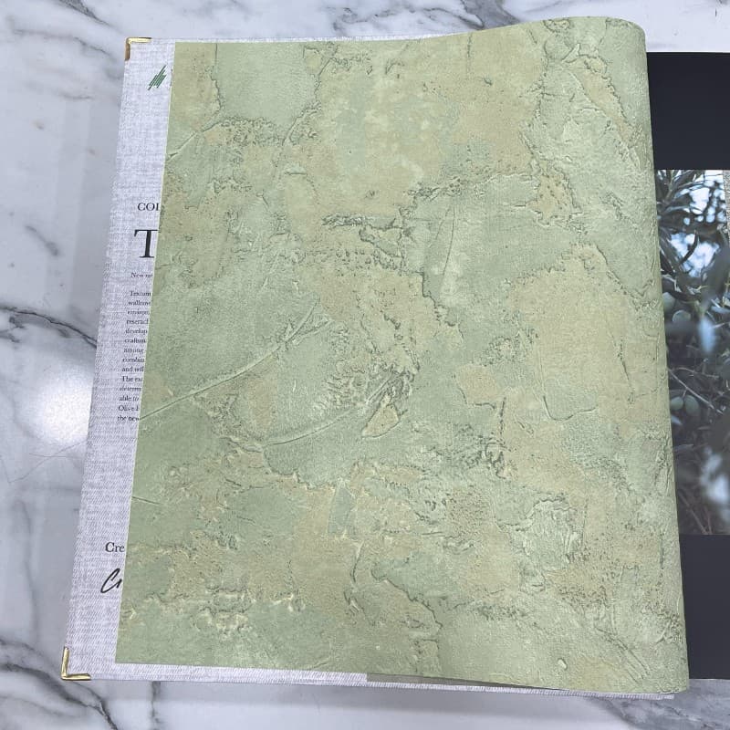 Ταπετσαρία Τοίχου Cristiana Masi Textum 24415 0,53x10,05 Λαδί Μπεζ - 2