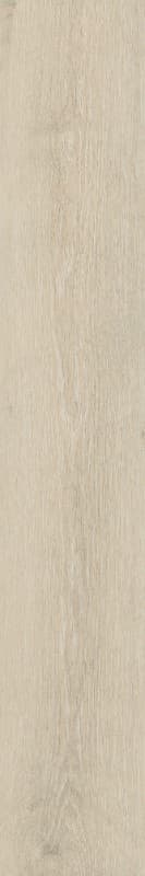 Πλακάκι Emotion Muse Arce 23x120cm Ματ
