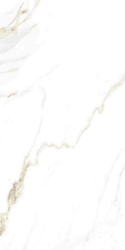 Πλακάκι Emotion Naos Gold Pulido 60x120cm Γυαλιστερό Rect